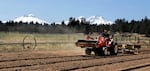 FILE - In this April 23, 2018, file photo, Trevor Eubanks, plant manager for Big Top Farms, readies a field for another hemp crop near Sisters, Ore.