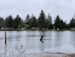 Many houses in Nehalem, Oregon, are just a few feet above sea level at high tide.