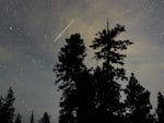 A Perseid meteor streaks across the sky above desert pine trees on Aug. 13, 2015, in the Spring Mountains National Recreation Area in Nevada.