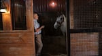 Jack Root and Giacomo, the 2005 Kenutcky Derby winner. His arrival made Jack's farm the first outside Kentucky to stand two derby winners at the same time.