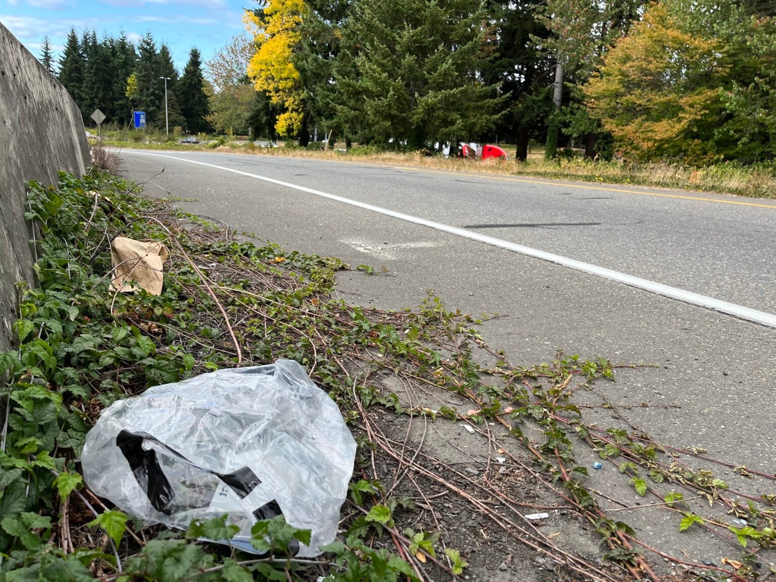 Undated photo of litter alongside an Interstate 5 off ramp near Lacey, Wash.