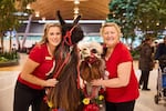 Shannon Joy (left) and her mother Lori Gregory from Mountain Peaks Therapy Llamas & Alpacas, pose for portraits with Beni and Captain Jack at Portland International Airport on October 31, 2024.