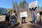About two dozen people gathered at the Detroit Ranger Station in Detroit on April 15, 2021, protesting the post-wildfire logging along fire-impacted roads impacted by the wildfires of 2020.