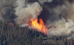 FILE: Flames burn trees in the Chiwaukum Creek Fire, as seen from the air, July 17, 2014, near Leavenworth, Wash.