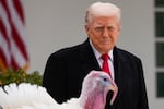 President Donald Trump pardons national Thanksgiving turkey Gobble during a ceremony in the Rose Garden of the White House, on Tuesday, in Washington.