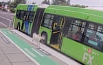 Seen in this still from supplied video, a pair of goats boards a TriMet bus in Portland on Tuesday, Aug. 11, 2026.