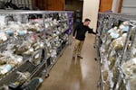FILE: Co-founder Tanner Mariani looks over bags of marijuana buds that fill the showroom of the Portland Cannabis Market in Portland, Ore., on March 31, 2023.
