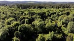 The Oregon Country Fair manages its 500-acre site with a hands-off approach in order to preserve the landscape, pictured here in an aerial image captured in June 2024. “As people return after decades to the fair, things here relatively stay the same,” said event manager Mark Malaska. 