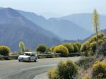 A motorist drives between flowers along the Angeles Crest Highway in the Angeles National Forest northwest of La Canada, Calif.