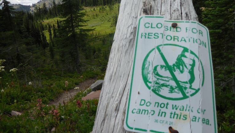 The Snowgrass Flats alpine meadows in the Goat Rocks Wilderness are so popular that the Forest Service has closed trails to keep people out so the fragile ecosystem can recover from the impact of humans.