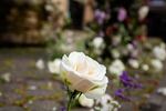 A close up of a white rose from a large flower installation wrapping up a pole and a sitting area on Mississippi Ave. in Portland, Ore., Tuesday, March 24, 2020. Noble Floral Co. designed and installed this piece as their part of the virtual #FlowerTourPDX, a movement by local florists to do something worthwhile with all the flowers that would not be sold due to business closures during the COVID-19 pandemic.