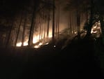 A hillside burning in the Happy Dog Fire.