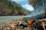 Logs burn alongside Highway 224 near Estacada, Ore., Sept. 24, 2020.