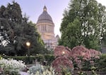 The flowers in the Washington State Capitol's sunken garden will be back in bloom by the time the 2023 Washington legislative session wraps up. The session starts Monday, Jan. 9.