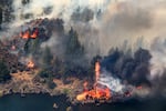 The Bench Fire burns along the banks of the Deschutes River on Saturday, July 25, 2026, in Jefferson County, Ore.