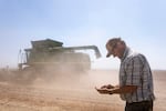 Out in a field, a farmer looks at seeds in his hand with equipment behind him.