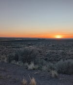 Bureau of Indian Affairs police killed Cody Whiterock outside of reservation boundaries. at this field in Owyhee County, Idaho.