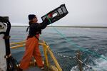 A deck hand on the Forerunner research vessel throws a crab pot out in the hope of collecting more information on the health of the local crab population.