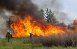 A tall column of flames among grasses, with two people up front.