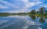 After years of rehabilitation, the Willamette Confluence Preserve offers protected habitat for wildlife.