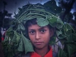 Arfat Ahmed, age 10, photographed on Nov. 8, 2022 as he returns to his family's dwelling with gourd leaves to cook for dinner. This is one of the photos by the four Rohingya photographers honored for drawing attention to the plight of what the U.N. has called the "world's most persecuted minority."