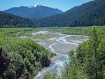 An image of trees, a mountain and water flowing through an area in Washington.