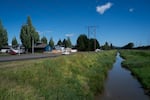 Elevated pH water flows in a ditch bordering a neighborhood across the street from the Nippon Dynawave Packaging Co. after the chemical disaster in Longview, Wash., on May 27, 2026. Signs warning of the contamination were posted on telephone poles and in the grass along the ditch.