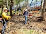 How prescribed burns are reshaping Southern Oregon forests and communities