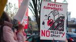 Advocates at a protest in Medford say new Oregon OSHA rules won't protect farmworkers.