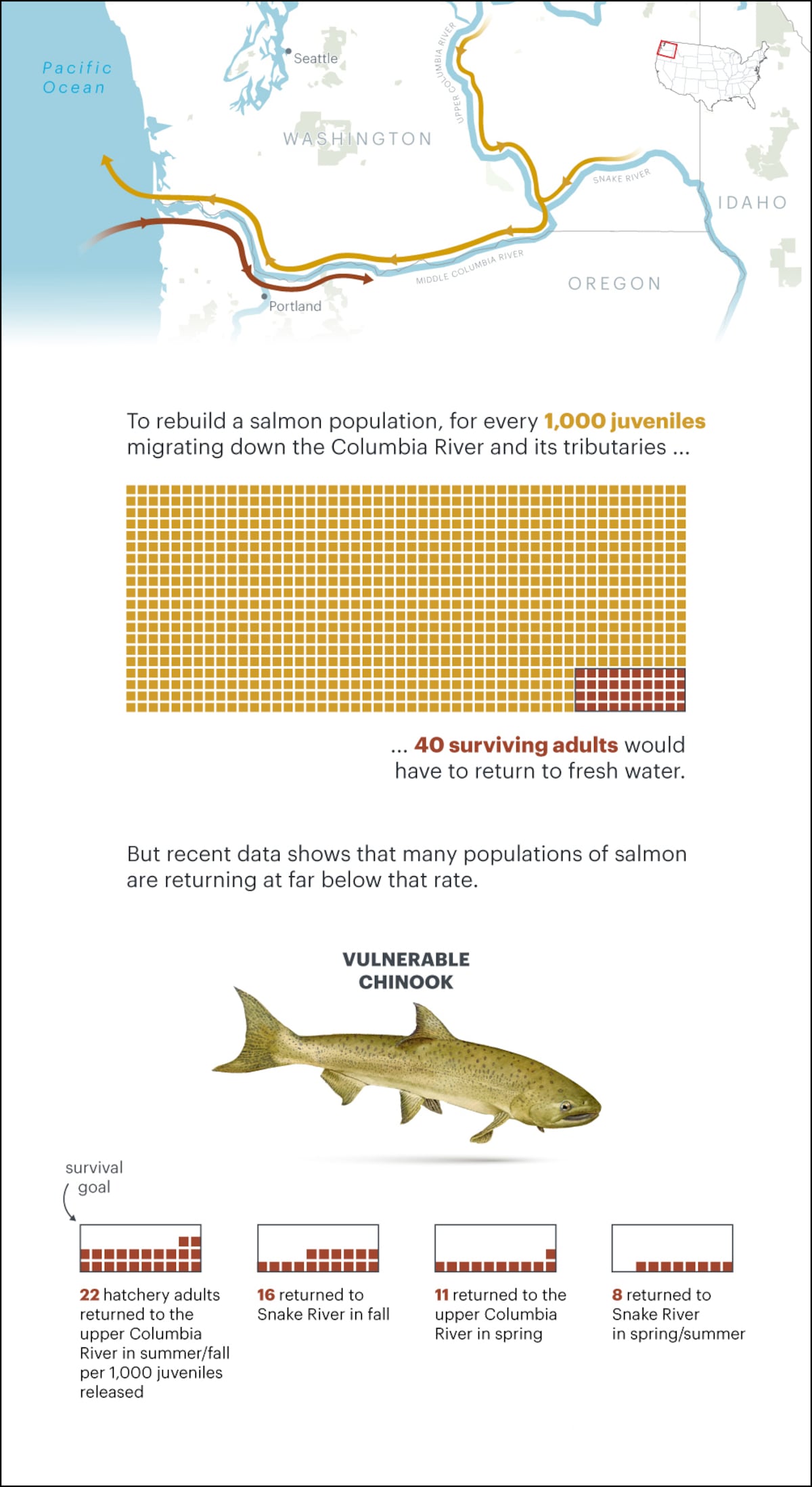 The US has spent more than $2B on a plan to save salmon. The fish