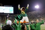 FILE - The University of Oregon cheerleading team celebrates a Ducks touchdown on Nov. 24, 2023, as the Oregon Ducks took the lead over their rivals, the Oregon State Beavers.