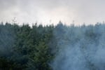 Heat radiates off of controlled burns.