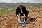A group gathering in Qaryut village southeast of Nablus, West Bank, on March 15, 2015, plant an olive tree as they mark the 12th anniversary of the death of U.S. activist Rachel Corrie, who died when she was crushed by an Israeli bulldozer in the Gaza Strip on March 16, 2003.