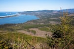 Netarts Bay is seen from a hilltop in Tillamook County, Ore., Feb. 20, 2020. Annie Naranjo-Rivera of Manzanita, on the coast, says Tillamook County isn't necessarily Trump Country and predicts a moral outcry against President Trump this fall.