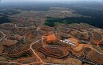 This photograph, taken on February 24, 2014 during an aerial survey mission by Greenpeace in Indonesia, shows cleared trees in a forest located in the concession of Karya Makmur Abadi, which was being developed for a palm oil plantation. Environmental group Greenpeace on February 26 accused US consumer goods giant Procter & Gamble of aiding the destruction of Indonesian rainforests.