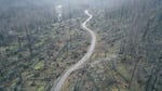 An aerial image made by drone shows cutting alongside Road 2209 in the Willamette National Forest on Thursday, Nov. 4, 2021.
