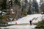 Broken power poles and electrical lines hang along Southwest Leahy Road in Portland, Ore., Jan. 16, 2024.