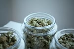 In March, the state began requiring tests for strains of the fungus Aspergillus, and recalling cannabis if it tested positive. The Oregon Court of Appeals suspended those restrictions in late August.