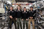 From left, NASA's SpaceX Crew-10 members Kirill Peskov of Roscosmos, NASA astronauts Nichole Ayers and Anne McClain, and JAXA (Japan Aerospace Exploration Agency) astronaut Takuya Onishi pose for a group portrait inside the International Space Station's Kibo laboratory module on July 19, 2025.
