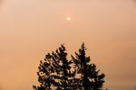 The Eagle Creek Fire as seen from the Bonneville Fish Hatchery, Sunday, Sept. 3, 2017. 