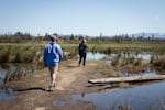 Luke Fitzpatrick and his mom, Kathy Bridges, walk the berms between fish ponds at Santiam Valley Ranch in Turner, Ore., Thursday, April 15, 2021.