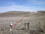 The use of non-lethal techniques like hanging fladry, shown here in red, can deter wolves from cattle or sheep pastures. But ranchers say they are costly, time-consuming and marginally effective. Wolf advocates say they are too seldom used or used improperly, like the incomplete line in this photo from Eastern Oregon.