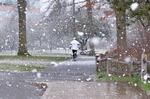 Snow began to fall along Willamette Park in Southwest Portland, Tuesday, Feb. 20, 2018.