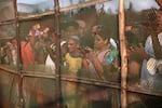 Tourists gather around a netted hatchery on the seashore at the western Indian village of Velas, where olive ridley sea turtles come to nest.
