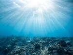 Could the ocean contain alien technology? Astronomer Avi Loeb thinks there is a chance.