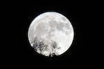 A full super moon, rises behind a mountain in the village of Dodekametro, in the region of Arcadia in Greece, on July 10, 2025. 