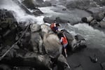 The upcoming generation of lamprey harvesters. Henry Begay helps his younger sister, Jackie, scale the slippery rocks at the base of Willamette Falls.