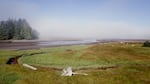 Fog hovers over the Necanicum River estuary in Seaside, where the Clatsop-Nehalem Confederated Tribes now own 18.6 acres of tidal marsh and Sitka spruce forest.