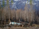 Mary Bradshaw's fire-hardened home in Elkhorn, Oregon, on Feb. 26, 2021. It was one of few that survived the Beachie Creek fire in the area likely because it was built using fire-resistant materials and had no vegetation around the house.