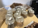 A sampling of seed collected, cleaned and catalogued at the 150-year-old company, Silvaseed, in Roy, Wash. It is a hub in the increasingly important re-forestation industry in the United States.